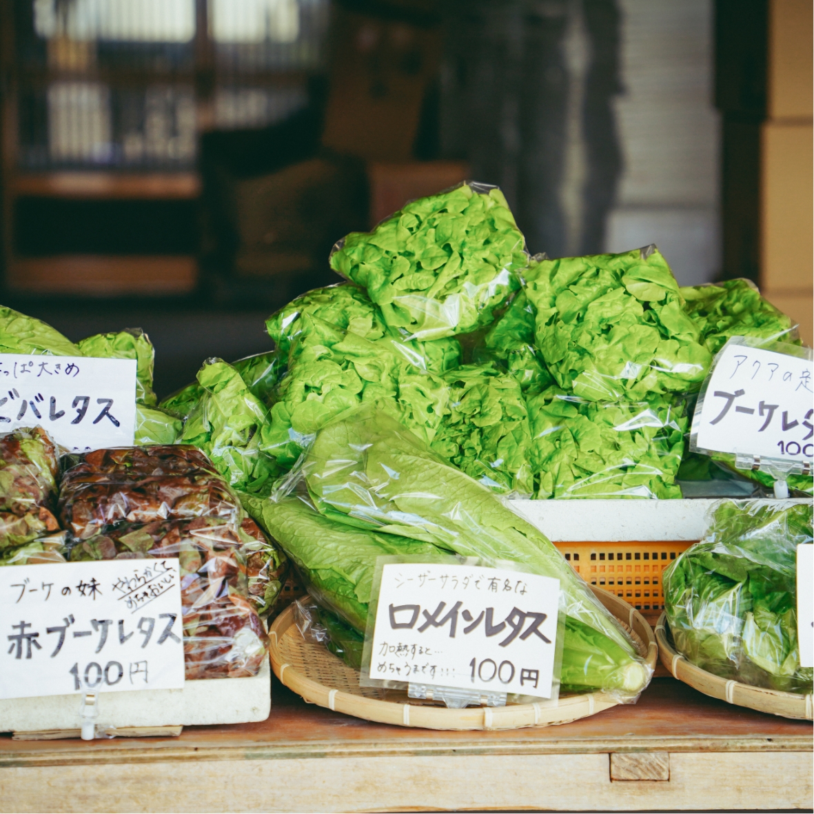 100円!?無人販売所で買える、地下水で水耕栽培したアクア農園の葉物野菜が美味しすぎる。