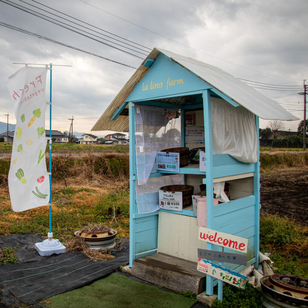 【la・lino】あさぎり町の無人販売所で食べ頃お野菜をゲット！