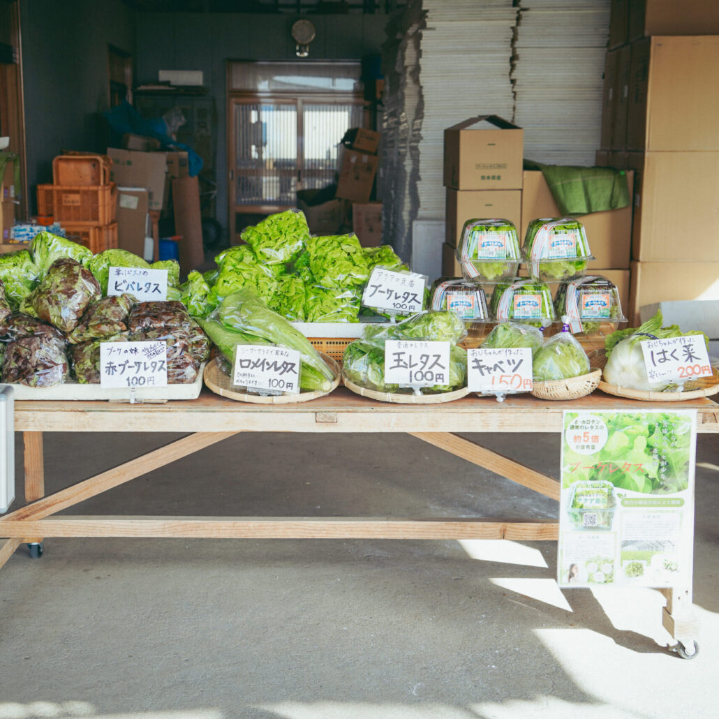 【アクア農園】 あさぎり町の無人販売所でこだわり野菜を超お手軽に。