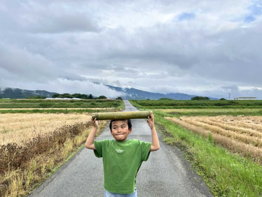 雨あがり、初夏の散歩
