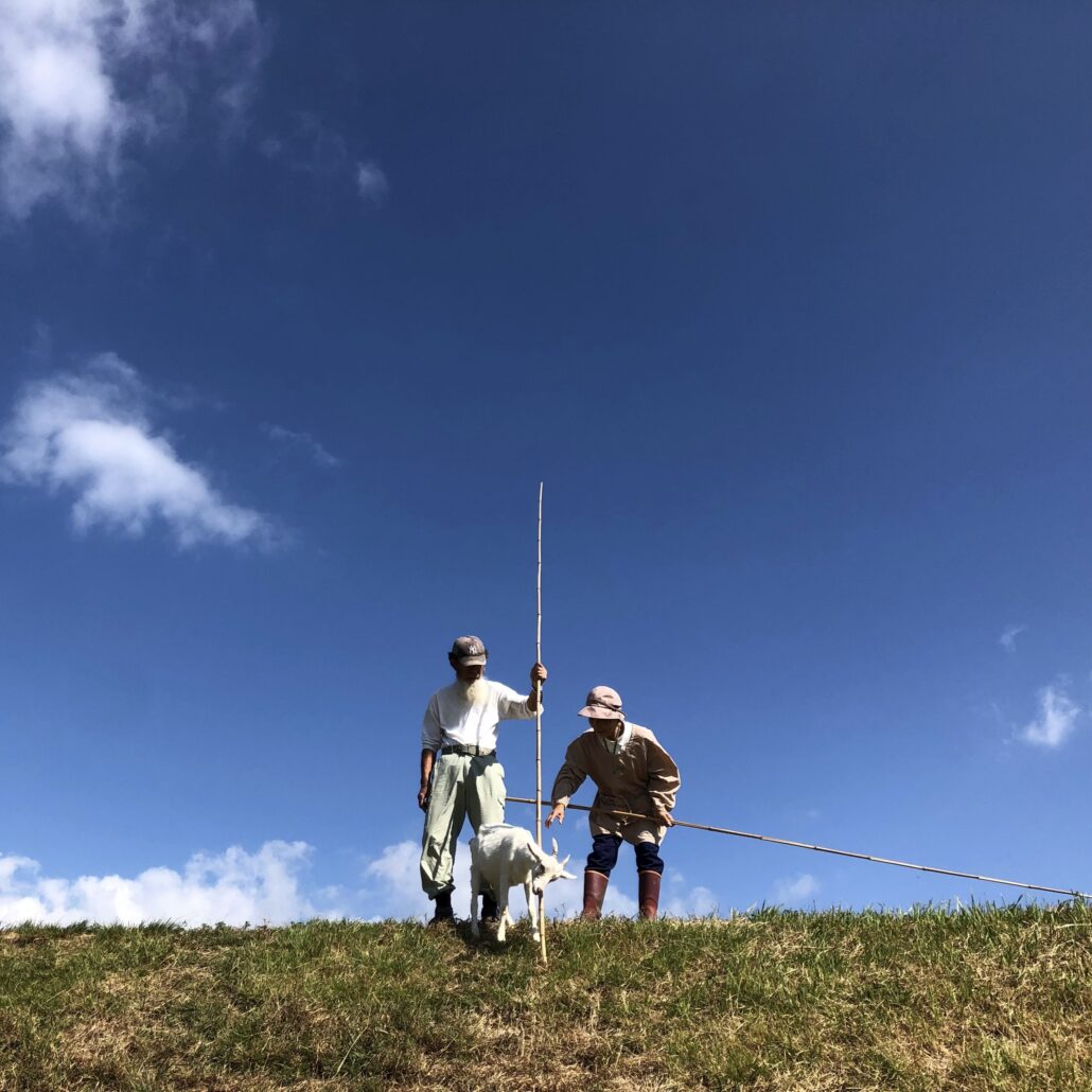 やさしい風景に、静かな幕を。-山羊のいる球磨川の13年-
