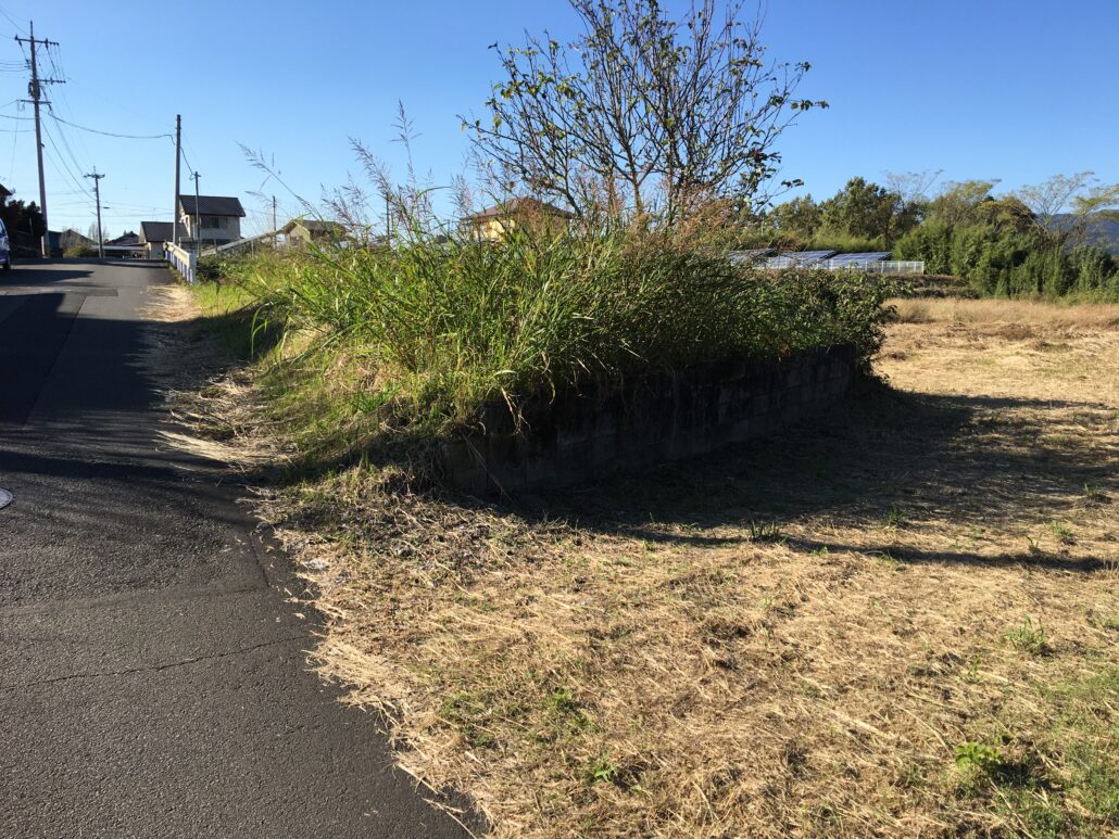 【空き土地紹介】移住して畑を持ちたい人に。暮らしと農が無理なくつながる519㎡🌳