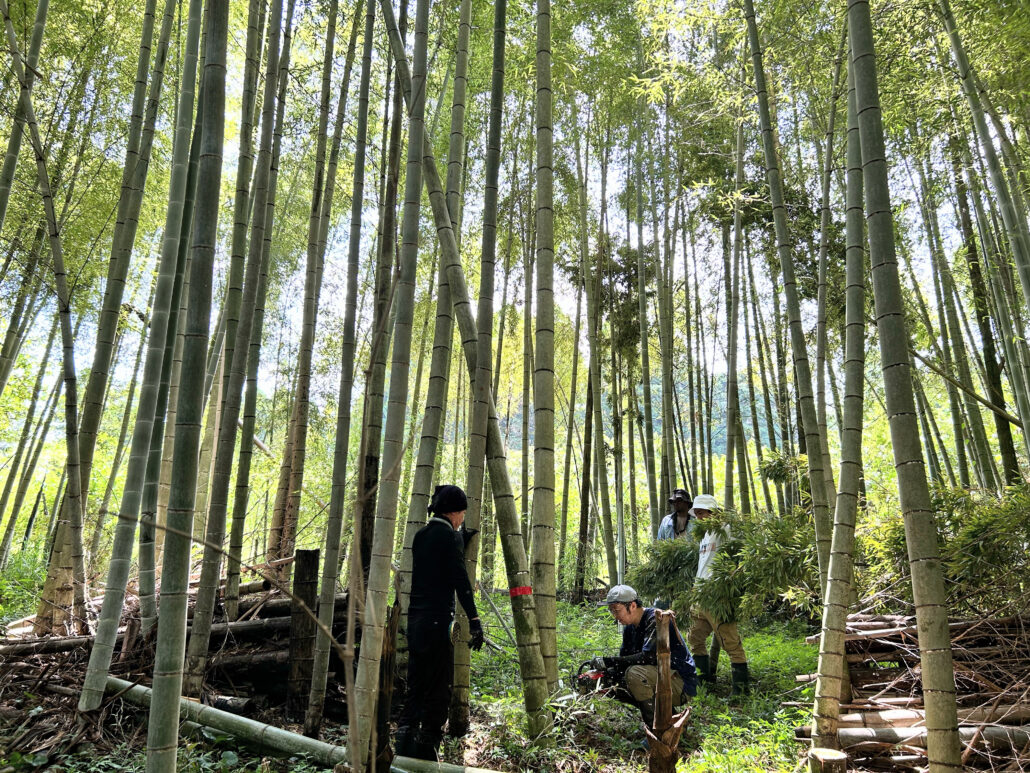 【世界が注目する「雨庭」】竹筋コンクリートで生まれる、やさしい風景