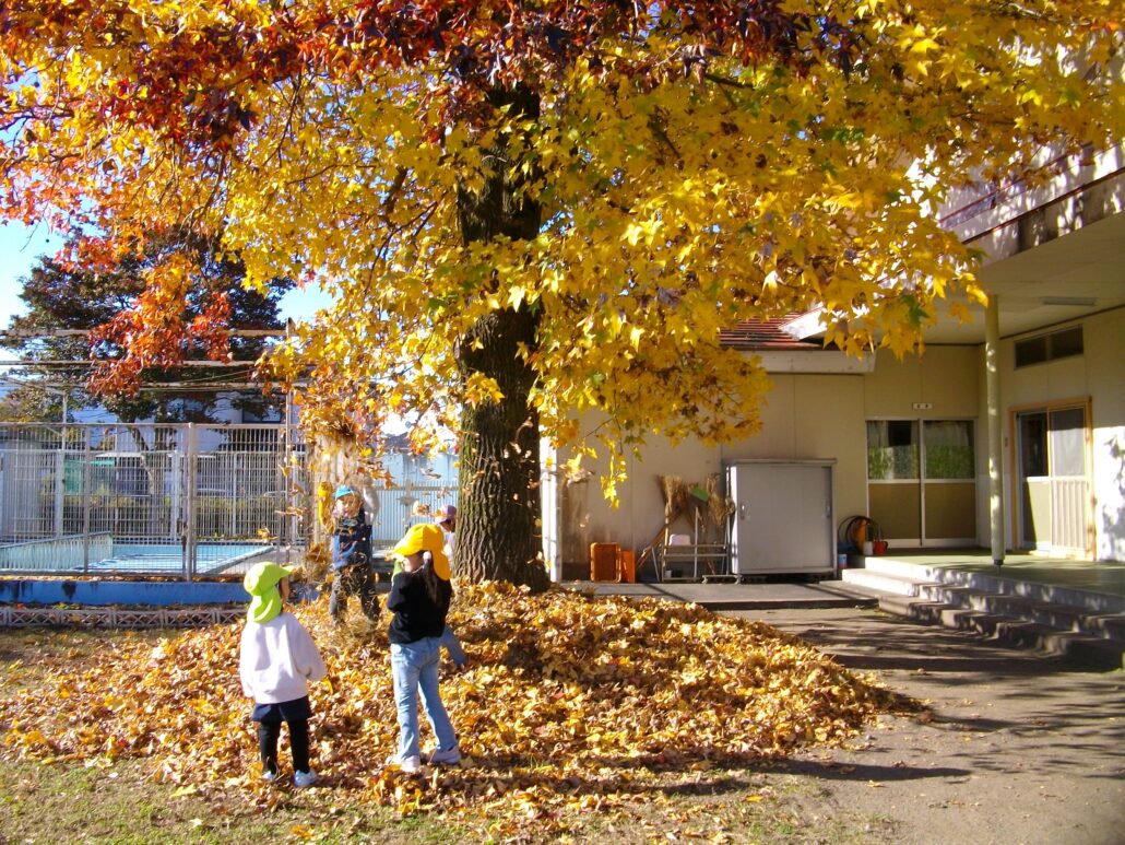 【あおぞらこども園】自然は最高の教材だった！-探究する子どもが育つ園-